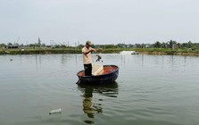 Bỏ nuôi tôm thẻ, nông dân thử nuôi cá “đặc sản”, kỳ vọng lãi 450 triệu đồng/ha