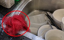 Lời khuyên cho những gia đình để lưới rửa bát ẩm ướt 24/24