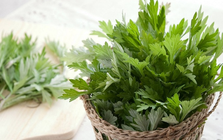 Có sẵn ngải cứu trong bếp, đừng bỏ qua 2 món ăn dân dã tốt cho sức khỏe