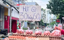 Trứng gà giá rẻ len lỏi đến tận nhà