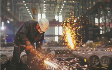 Cổ phiếu thép bất ngờ nổi sóng, hơn 31 triệu cổ phiếu Hòa Phát được sang tay, Nam Kim tăng sát trần: Chuyện gì đang xảy ra?