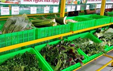 Một “đại gia” tuyển người cùng bán rau, thu nhập có thể lên đến 30 triệu đồng