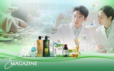 Triết lý cân bằng: Từ Đông y đến kinh doanh bền vững