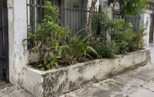 Tại sao ngày càng nhiều gia đình không còn xây bồn hoa trước nhà? 2 cách làm mới linh hoạt hơn đang dần thành xu hướng