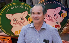 Đàn heo ăn chuối của bầu Đức giờ ra sao?