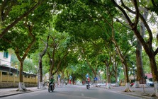 Từ nay đến 23/10, toàn bộ người dân Hà Nội sẽ được miễn phí 100% dịch vụ này