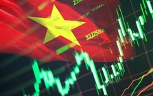Chuyên gia chỉ ra "biến số" có thể quyết định xu hướng VN-Index trong quý cuối năm