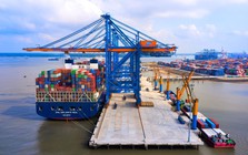 Doanh nghiệp Việt làm đúng chuẩn quốc tế vẫn chưa đủ: Cuộc chơi tiếp theo là gì?