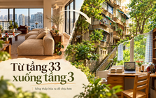 Từ tầng 33 có thang máy chuyển xuống tầng 3 không thang máy, tôi mới hiểu mình đã chọn nhà sai ở điểm nào