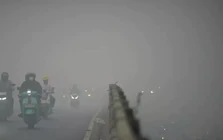Ứng phó đợt cháy rừng nghiêm trọng nhất trong hơn 1 thập kỷ, Indonesia đồng ý nhận hỗ trợ nước ngoài