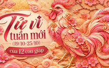 Tử vi tuần mới (19/10-25/10): Top 4 con giáp được Thần Tài ưu ái nhất, công việc bứt phá, tình duyên ngọt ngào