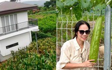 Mẹ Á hậu 2 Miss Universe Vietnam 2026 có khu vườn gần 1.000m² ở Lâm Đồng, trồng đủ rau trái, sống chill