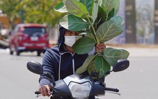TP.HCM có thể tăng 110 ngày nắng nóng, quy hoạch đô thị cần tính trước rủi ro