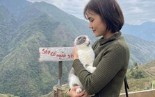 Bố mẹ giục cưới, người trẻ vẫn chọn du lịch, nuôi thú cưng, sống độc thân