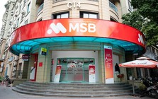 Thiếu gia Trần Anh Đức con trai Chủ tịch ngân hàng MSB mua 20 triệu cổ phiếu, lãi ngay 30 tỷ sau 1 tháng
