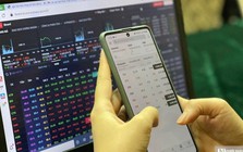 Cổ phiếu VPG bị chuyển sang diện hạn chế giao dịch
