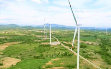 Gia Lai: Mời thầu 3 dự án điện gió hơn 10.500 tỷ đồng