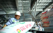 Đề xuất giảm thuế xuất khẩu phân bón từ 5% xuống 0%