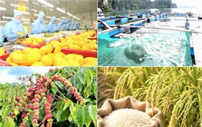 Xuất khẩu nông, lâm, thủy sản 9 tháng tăng 7,8%