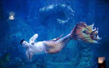 "Nàng tiên cá” đặc biệt của tỷ phú Phạm Nhật Vượng nặng đến 110kg, có sở thích lắc lư chiếc bụng mỡ