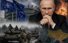Tổng thống Putin cảnh báo NATO về Kaliningrad, thừa nhận đòn đánh của Ukraine khiến Nga mất 1% GDP