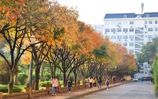 Một trường đại học top đầu Việt Nam thông báo có thêm 3 trường trực thuộc