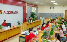 Ngân hàng rao bán nợ của doanh nghiệp từng mang tên Nghệ sĩ Quyền Linh