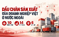 VinFast, THACO, Vinamilk và loạt ông lớn Việt mang hàng tỷ USD ra nước ngoài xây nhà máy, phát triển vùng nguyên liệu