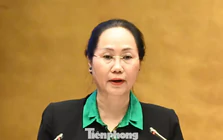 Sửa Luật Điện ảnh, đề xuất chặn truy cập, gỡ phim vi phạm trên mạng