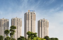 Vợ Chủ tịch Hải Phát Invest mua thành công 15 triệu cổ phiếu HPX