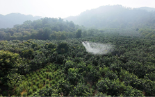 FPT Retail sắp triển khai hàng loạt UAV tại một tỉnh Tây Bắc, thực hiện nhiệm vụ quan trọng