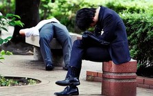 Cuộc sống của nam thanh niên rải 2.000 hồ sơ xin việc vẫn thất nghiệp