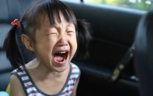 Dấu hiệu 1 gia đình đang sa sút, gia sản nhiều đến mấy cũng dễ bị bào mòn: Con cái có 3 “thói quen nghèo nàn” này