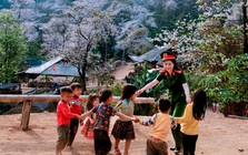 Phát hiện bản làng giữa hơn 1.200 cây cổ thụ ở Việt Nam, đến mùa hoa cả sườn núi phủ trắng như tuyết