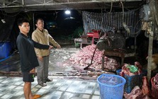 Triệt phá đường dây tiêu thụ 400 tấn lợn bệnh, lợn chết, thu lợi hơn 10 tỷ đồng