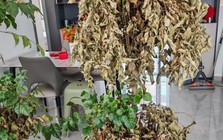 Nhà chật đừng vội trách thiếu mét vuông: VỨT 4 thứ vô dụng này đi, không gian rộng ra trông thấy