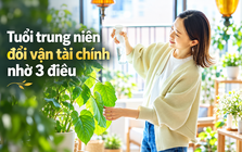 Sau tuổi 40, muốn xoay chuyển cuộc đời không cần chờ may mắn: Làm được 3 điều này đã là một lợi thế lớn