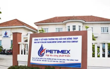 Thanh tra Chính phủ đề nghị điều tra vụ Petimex bán 185 triệu lít xăng dầu không hóa đơn