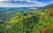 Việt Nam sở hữu ngọn núi lửa có tuổi đời hàng triệu năm, nằm ẩn mình giữa đại ngàn Tây Nguyên, mùa hoa dã quỳ nhuộm vàng triền núi, được quy hoạch thành khu du lịch
