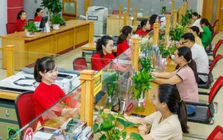 Nền kinh tế Việt Nam đang phụ thuộc nguồn vốn nào?