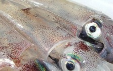 Bà chủ hàng hải sản nhắc: 4 loại mực có giảm 1/3 giá cũng đừng ham, càng chèo kéo càng nên "quay xe"
