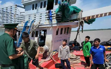 Chủ tàu kể giây phút hoảng loạn khi tàu chìm giữa biển lúc nửa đêm