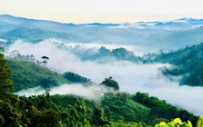 Lần đầu tiên, Việt Nam sẽ có sân bay nằm ở độ cao hơn 1.200m, mát lạnh quanh năm: Rộng gấp 20 lần sân Mỹ Đình, tổng vốn gần 5.000 tỷ đồng 
