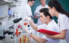 Đề xuất nhân tài được lựa chọn cộng sự, quyết định mức lương thưởng