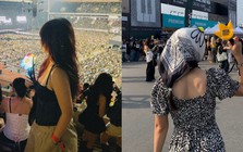 Chi 15 triệu đồng, một mình đi đu BIGBANG: Không sợ bị "đánh giá", lưu ý duy nhất 1 điều