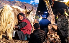 Tây Tạng kỳ bí: Vì sao khách du lịch thở oxy, người dân bản địa vẫn sống khỏe