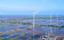 Chủ tịch Kosy Group và doanh nghiệp liên quan bị bán giải chấp cổ phiếu KOS