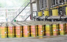 Công ty con của Hóa chất Đức Giang (DGC) báo lãi quý 3/2026 giảm 46% so với cùng kỳ 