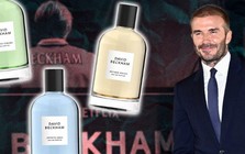 Beckham kiếm hơn 500 triệu đồng mỗi ngày nhờ mùi hương