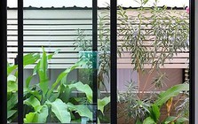 Lời khuyên cho các gia đình đang sử dụng cửa sổ kính cường lực